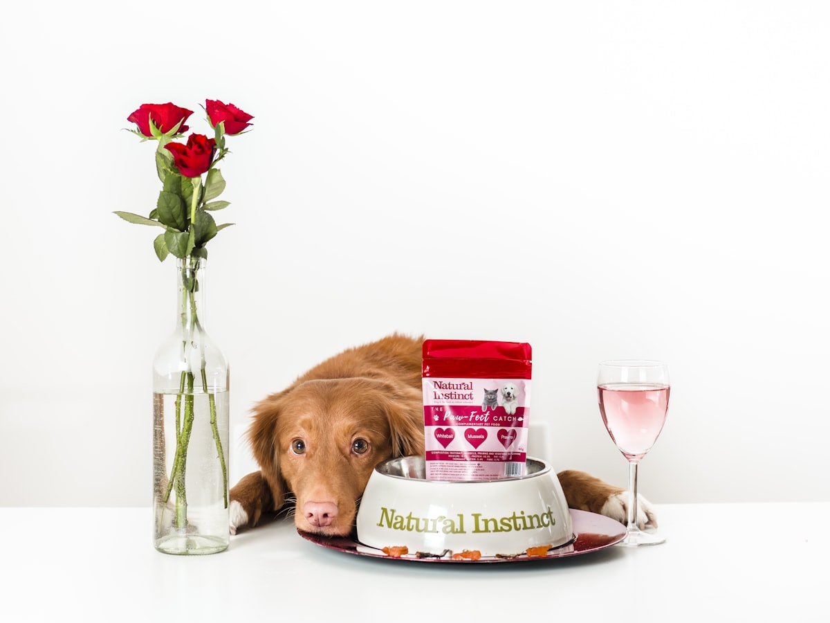 Royal Canin корм для собак и котов