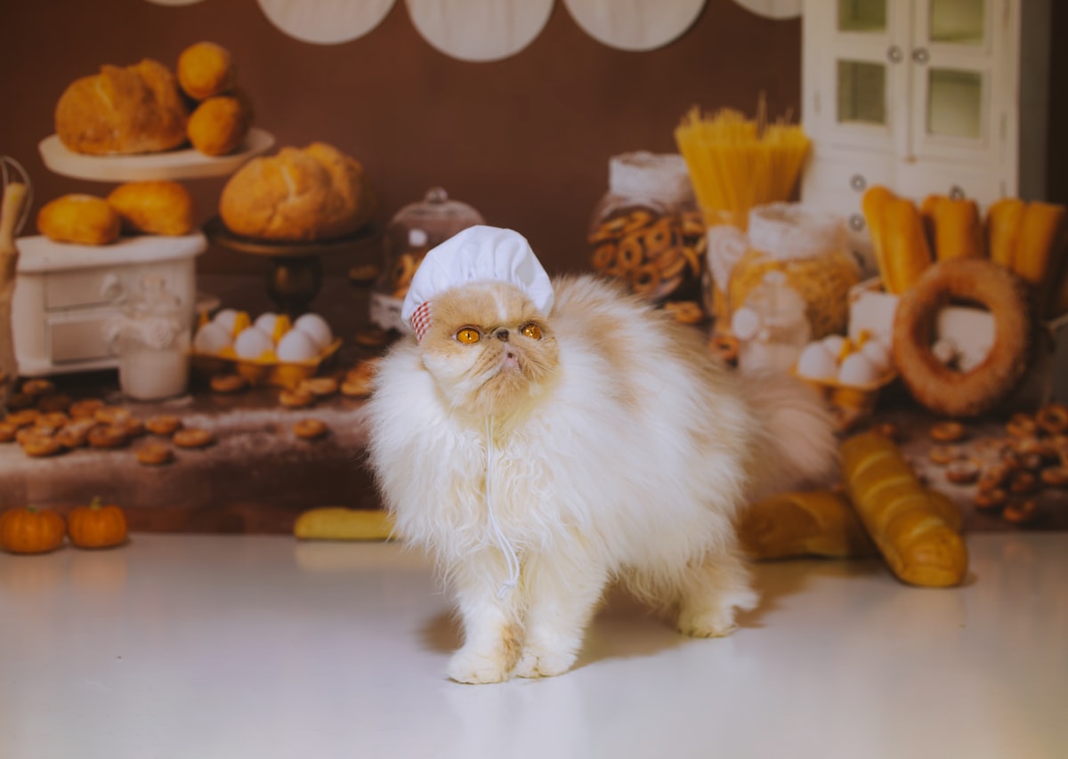 Royal Canin корм для собак и котов